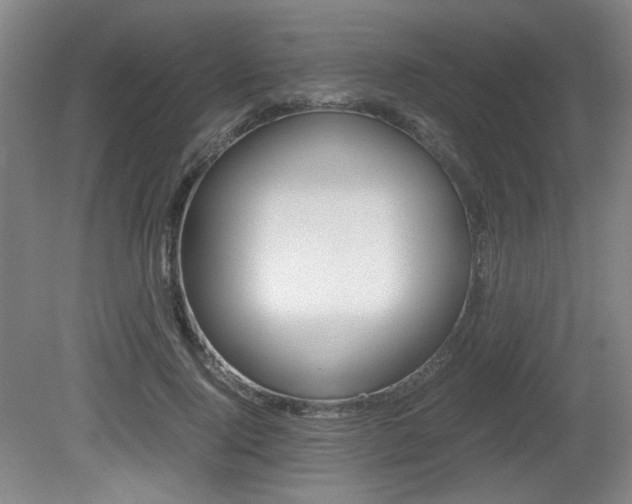 X0000080700740200612150836