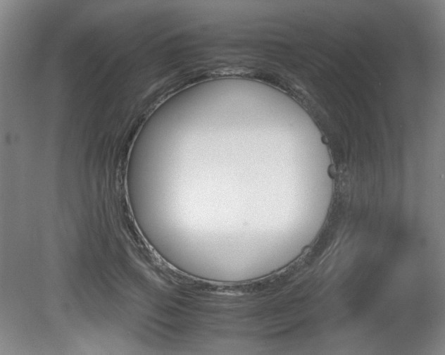 X0000080700741200612150836