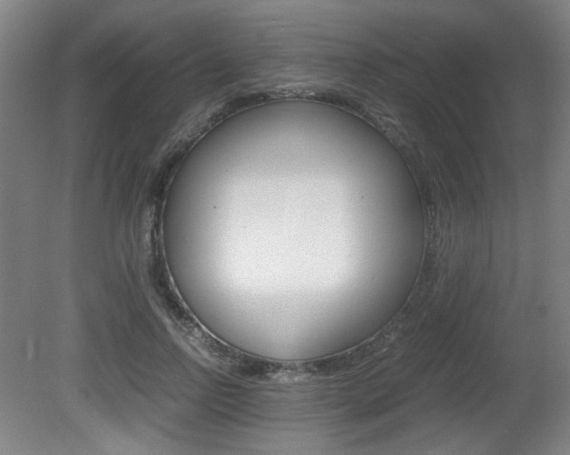 X0000080700742200612150836