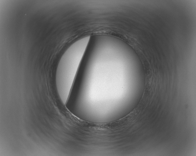X0000080700743200612150836