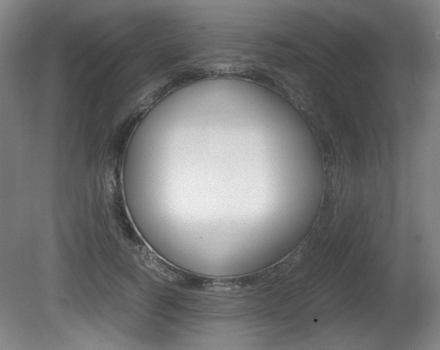 X0000080700746200612150836