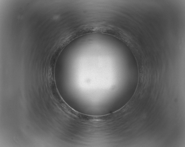 X0000080700748200612150836