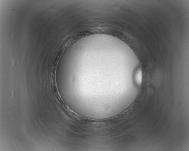X0000080700749200612150836