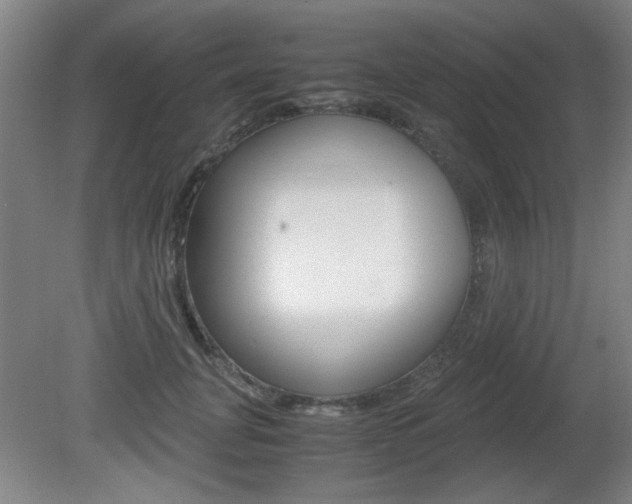 X0000080700751200612150836