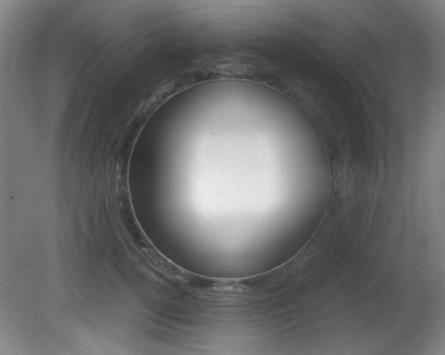 X0000080700752200612150836