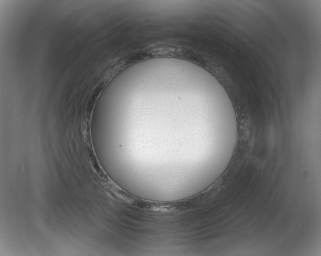 X0000080700753200612150836