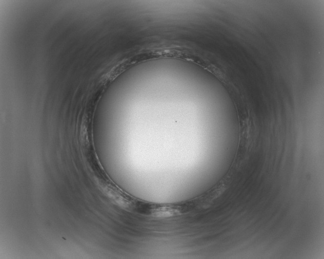 X0000080700754200612150836