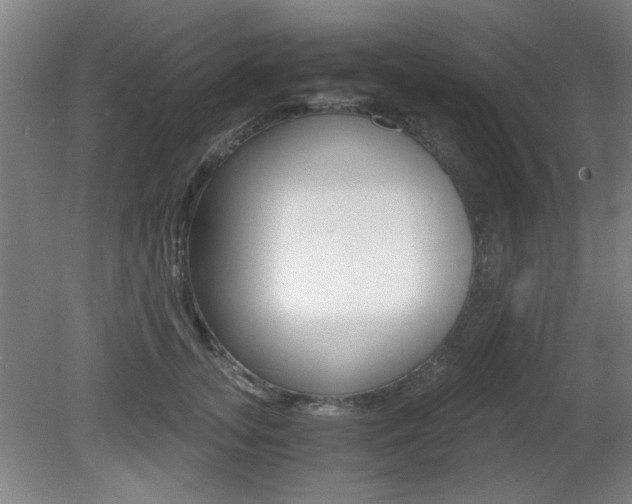 X0000080700755200612150836
