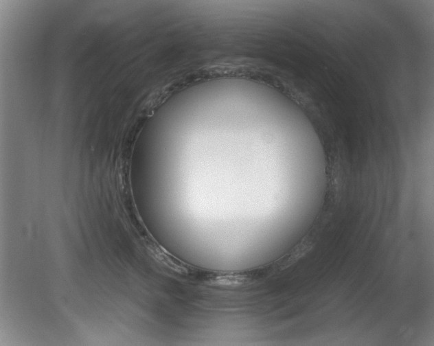 X0000080700758200612150836