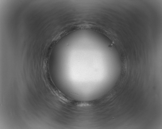 X0000080700759200612150836