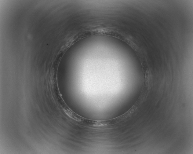 X0000080700760200612150836