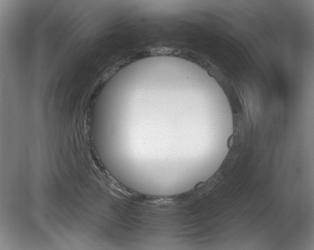 X0000080700761200612150836