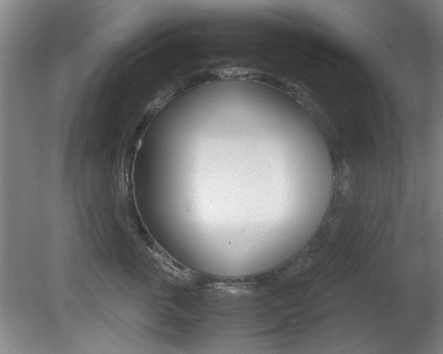 X0000080700763200612150836