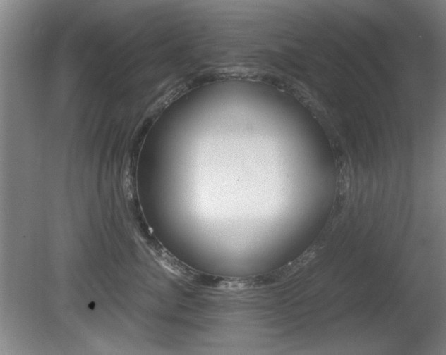 X0000080700764200612150836