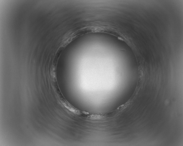 X0000080700766200612150836