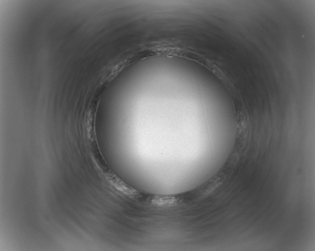 X0000080700767200612150836