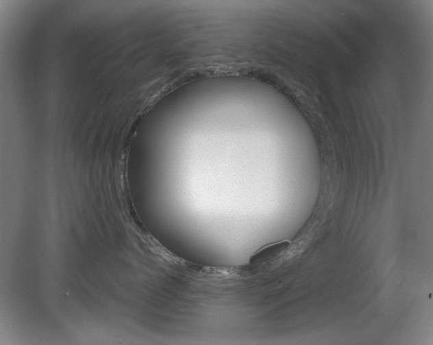 X0000080700768200612150836
