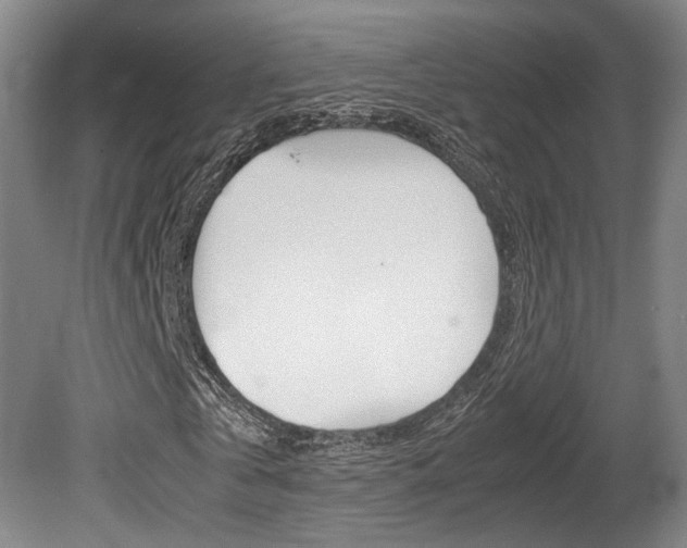 X0000080700769200612150836