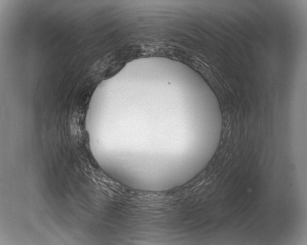 X0000080700770200612150836
