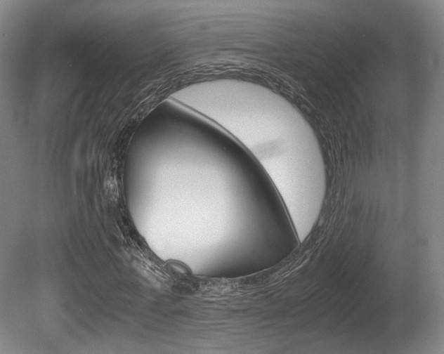 X0000080700771200612150836