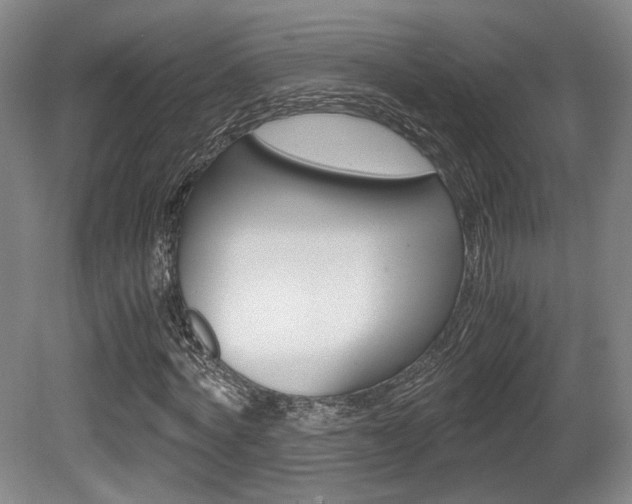X0000080700772200612150836