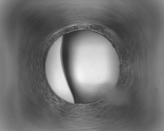 X0000080700773200612150836