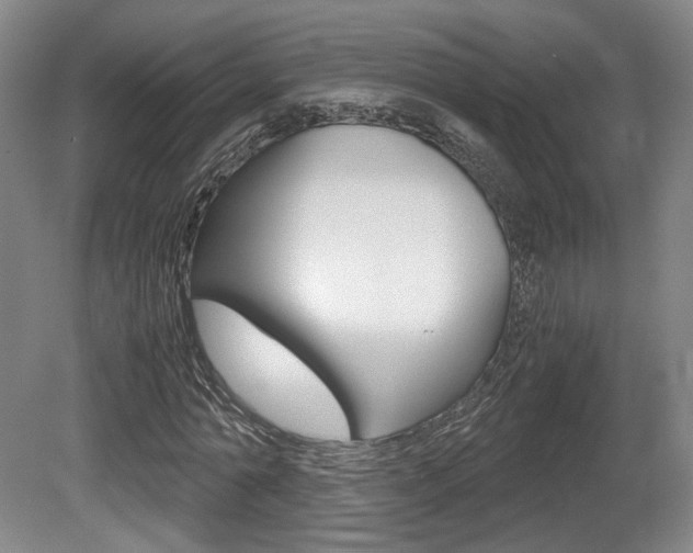 X0000080700774200612150836