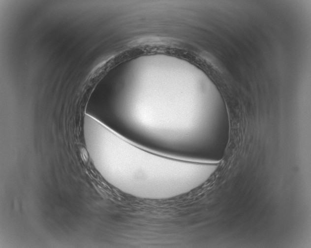 X0000080700775200612150836