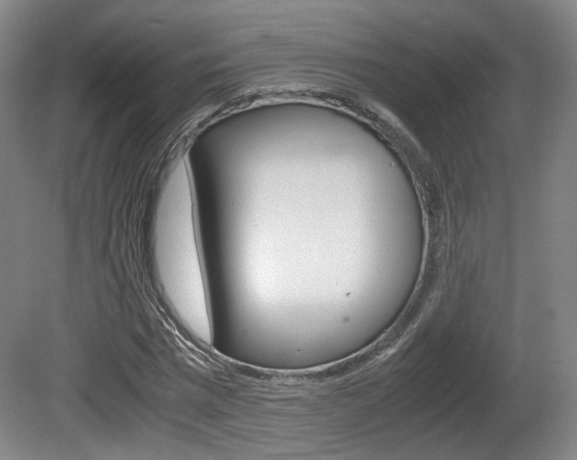 X0000080700777200612150836