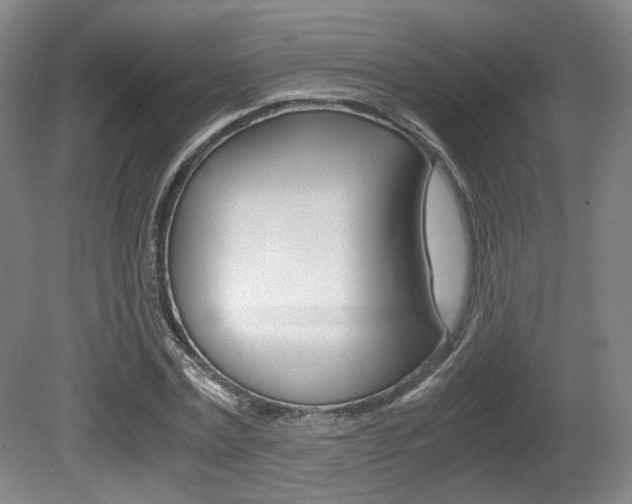 X0000080700779200612150835