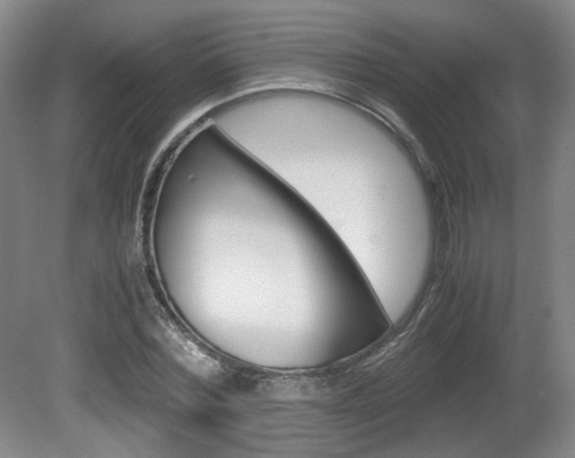 X0000080700780200612150835