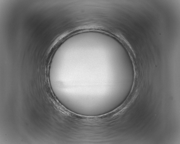 X0000080700781200612150835