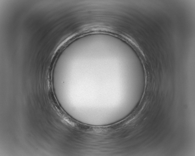 X0000080700782200612150835