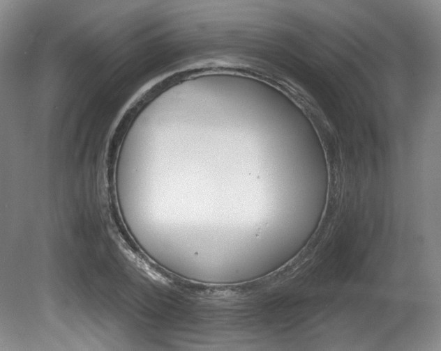 X0000080700784200612150835