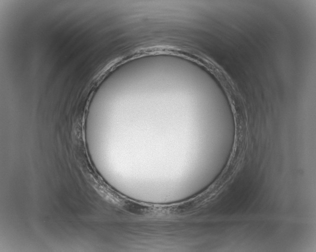 X0000080700785200612150835
