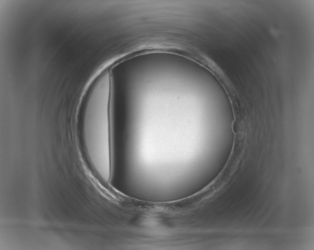 X0000080700787200612150835
