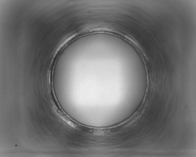 X0000080700790200612150835