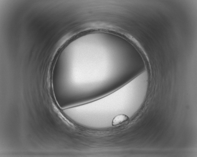 X0000080700791200612150835