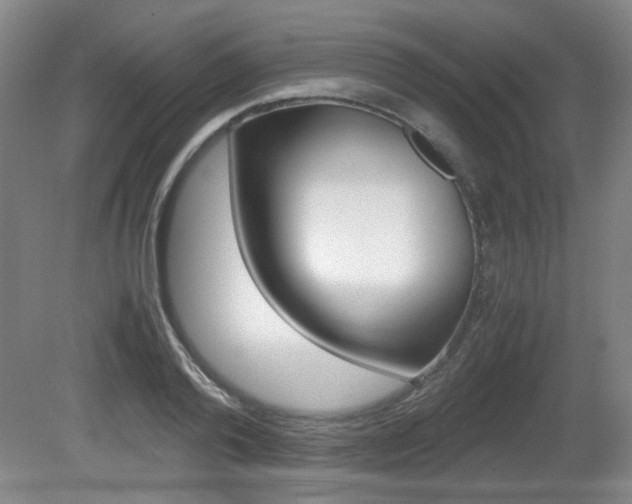 X0000080700792200612150835