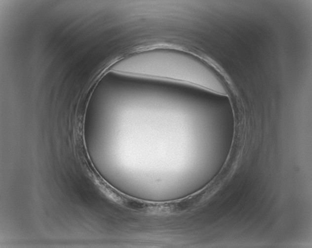 X0000080700793200612150835