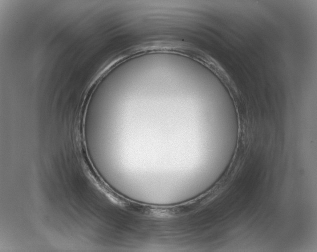 X0000080700794200612150835