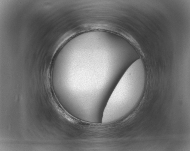 X0000080700798200612150835
