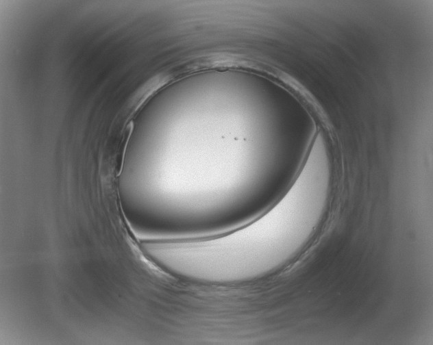 X0000080700801200612150835