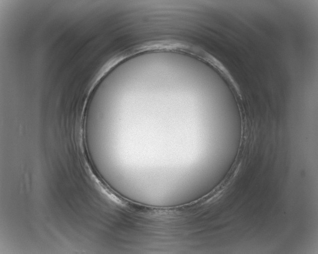 X0000080700802200612150835