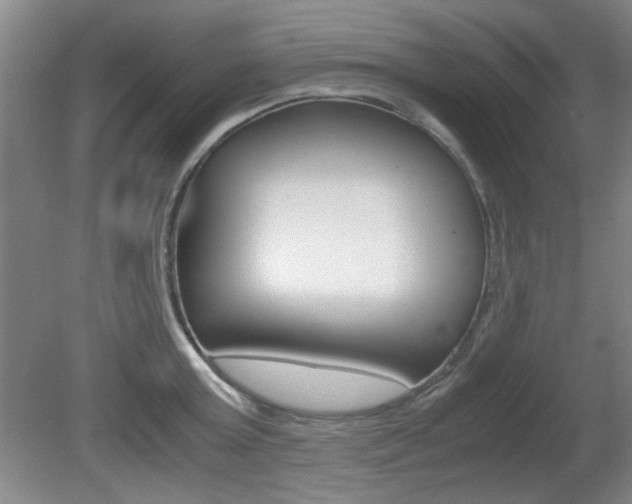 X0000080700803200612150835