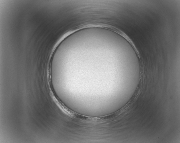 X0000080700811200612150835