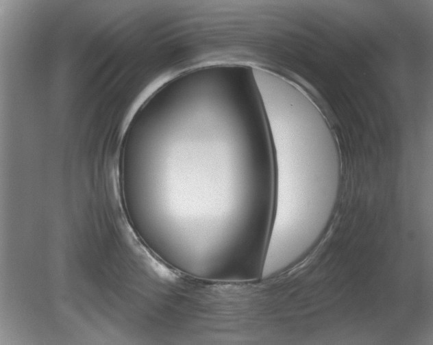 X0000080700812200612150835