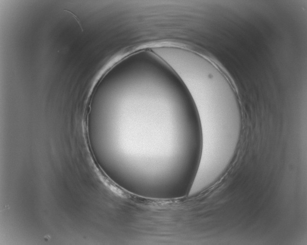 X0000080700813200612150835