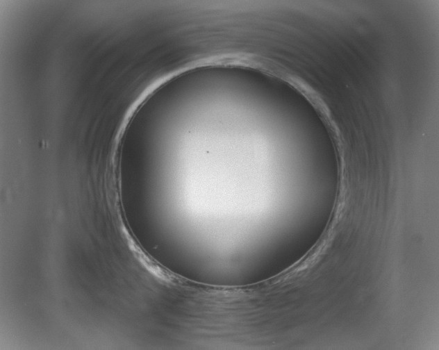 X0000080700816200612150835