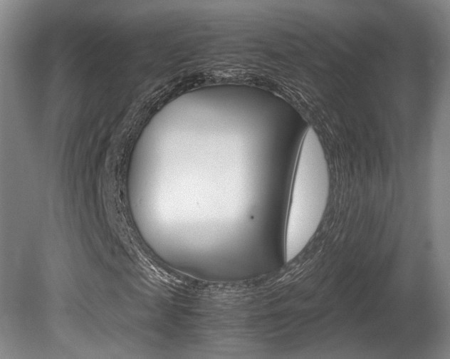 X0000080700817200612150834